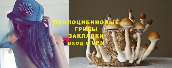 mdma Осташков
