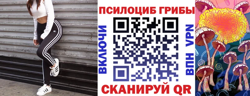 Псилоцибиновые грибы GOLDEN TEACHER  магазин  наркотиков  Бугуруслан 